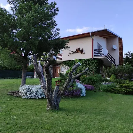 Alica * Nová Lesná